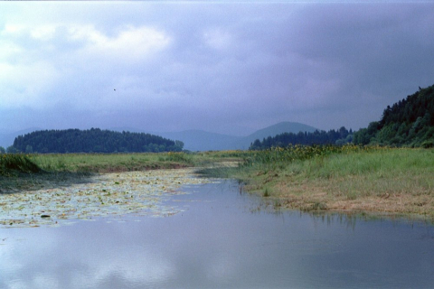 slowenien-04-007_20100719_1668114760