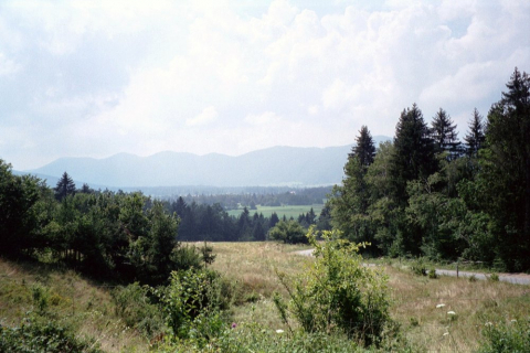 slowenien-04-019_20100719_1214346814