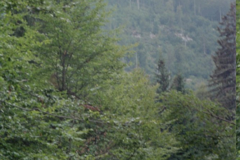 slowenien-04-067_20100719_1885497078