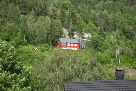 norwegen-07-dalen-006_20100719_1924686214