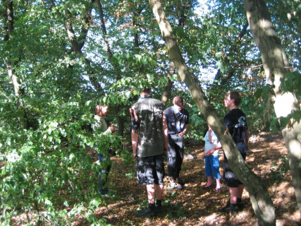 ferienspiele-08-008_20100719_1848095861