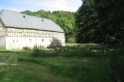 kanutour-lahn-08-072_20100719_1332153710