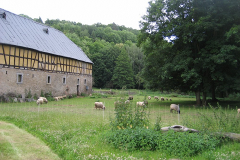 kanutour-lahn-08-084_20100719_1050573936