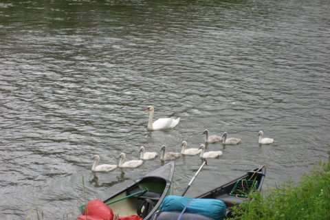 kanutour-lahn-08-126_20100719_1327664942