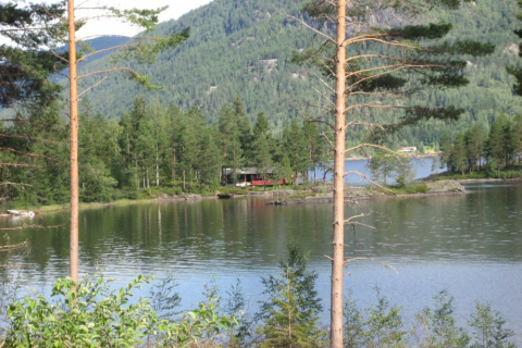 norwegen-07-krossli-013_20100719_2097738107