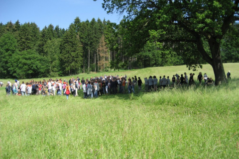 pfila-immenhausen-07-041_20100719_1027306429