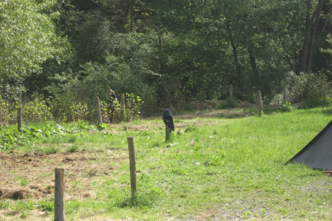 pfila-freienfels-10-004_20100719_1903011883