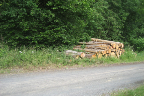 pfingstlager-homberg-ohm-11-004_20110615_1256071480