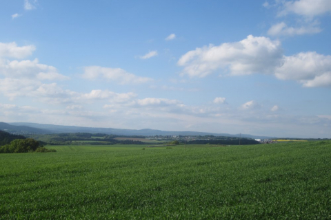 pfila-weinbach-2013-027_20130520_1646583647
