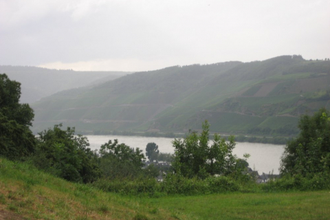 sommerfahrt-rheinsteig-11-013_20110801_1188294692