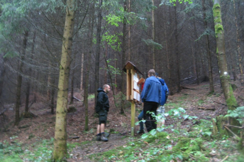 sommerfahrt-rheinsteig-11-040_20110801_1190192306