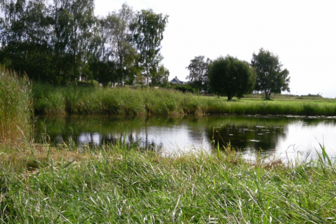 sommerfahrt-schweden-2014-002_20140828_1741451754