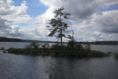 sommerfahrt-schweden-2014-129_20140828_1289108292