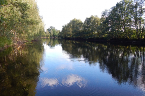 sommerfahrt-schweden-2014-136_20140828_1876838165