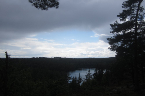 sommerfahrt-schweden-2014-159_20140828_1428836428
