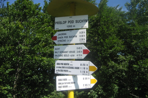sommerfahrt-slowakei-10-045_20100814_1620308984