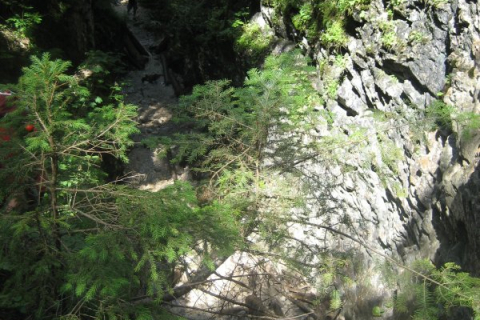 sommerfahrt-slowakei-10-149_20100814_2007044468