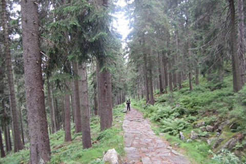sommerfahrt-tschechien-12-015_20120919_2050471013