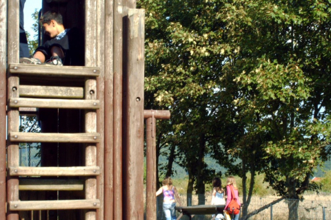 sonstiges-014_20100719_1630084960