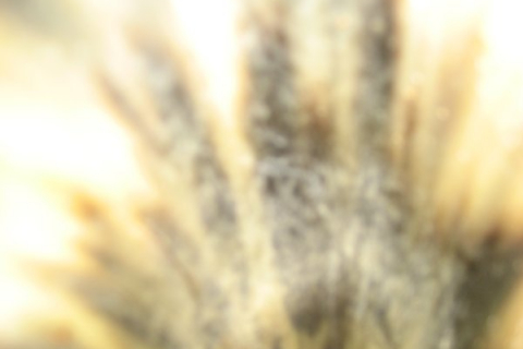 weihnachtsfeier-07-034_20100719_1627112848